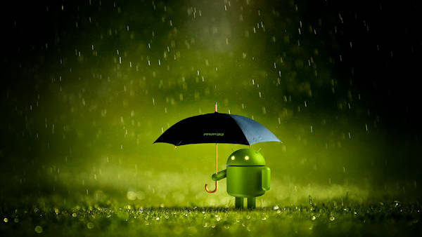 Dangerous File Manager Apps Still on Google Play Store