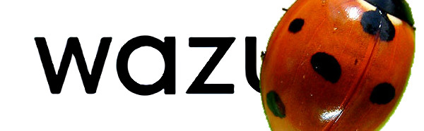 Wazuh Vulnerable to Mirai, Hacking IoT IP Cameras